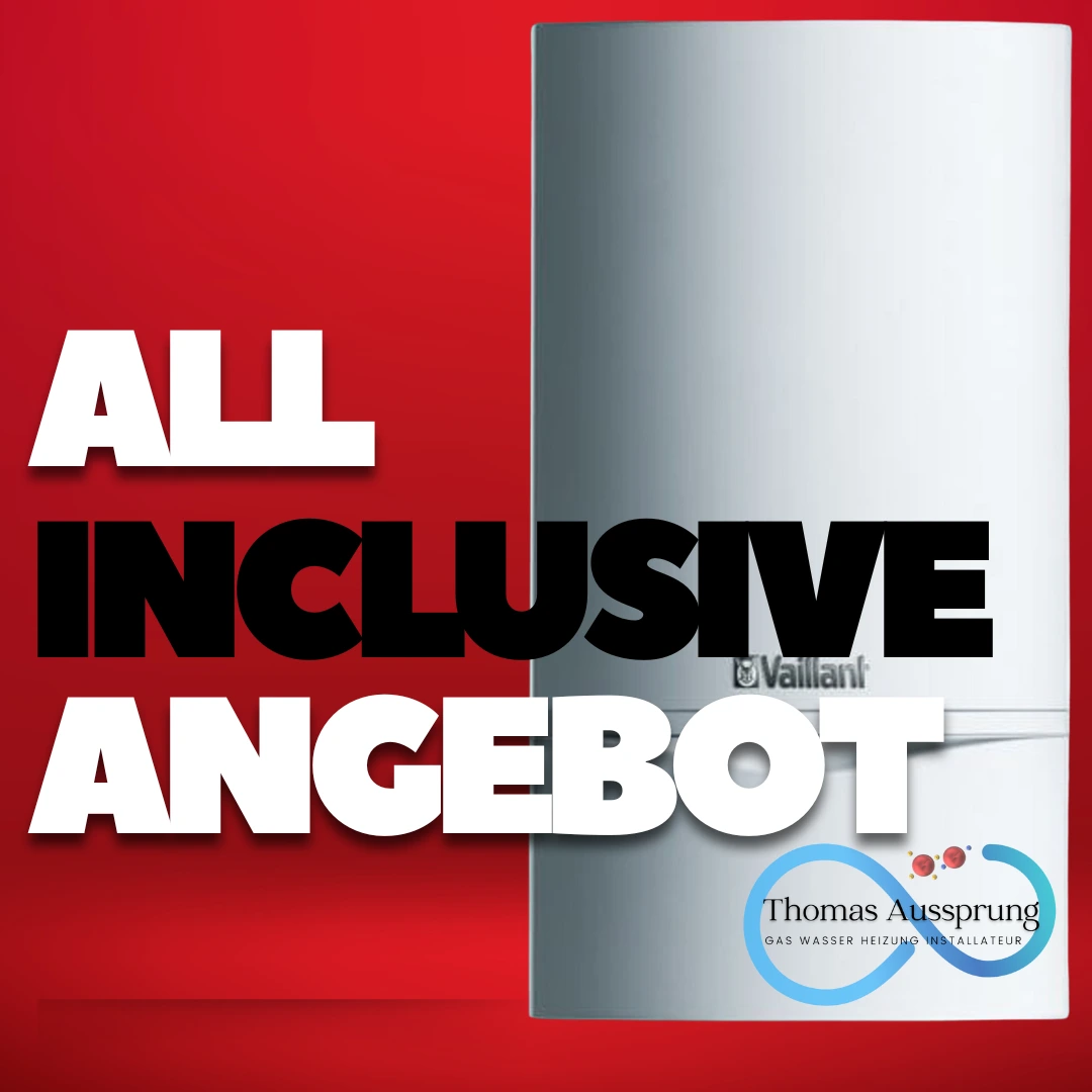 Vaillant atmoTEC VCW 174 Thermentausch Aktion in Wien